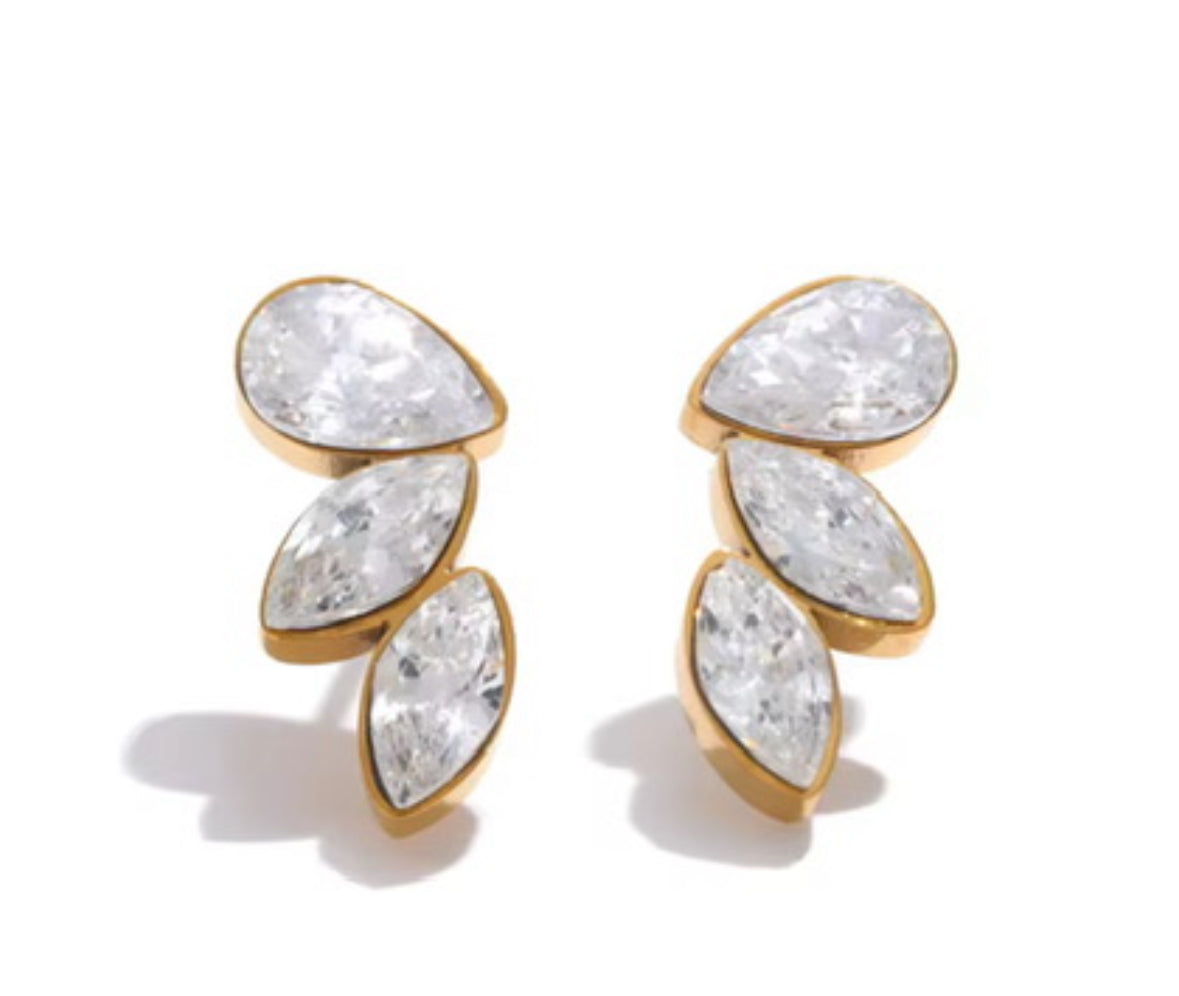 Circonia stud  Earrings